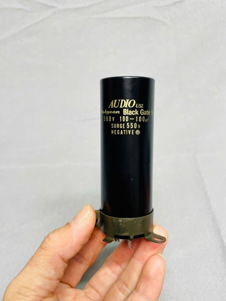Rubycon blackgate コンデンサー 100V 220μF セット Rubycon blackgate