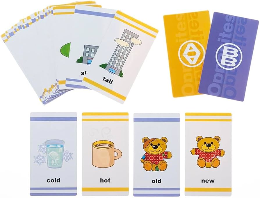 Amazon.co.jp: Jetty International こども英語 教材 学習 フラッシュ