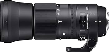 Amazon.com : Sigma 150-600mm 5-6.3 Contemporary DG OS HSM Lens for