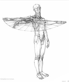 Amazon | Struttura uomo in movimento. Manuale di anatomia