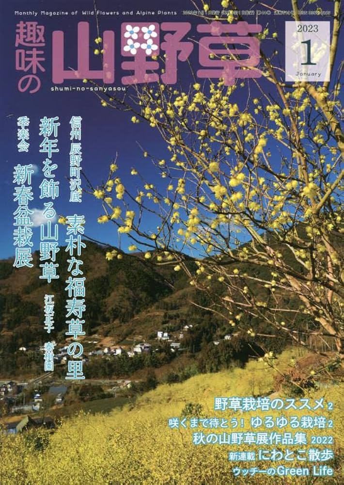 Amazon.com: 趣味の山野草 2013年 01月号 [雑誌]: 4910045110137: Books