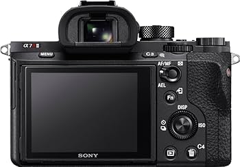 Amazon.com : Sony a7R II Full-Frame Mirrorless Interchangeable