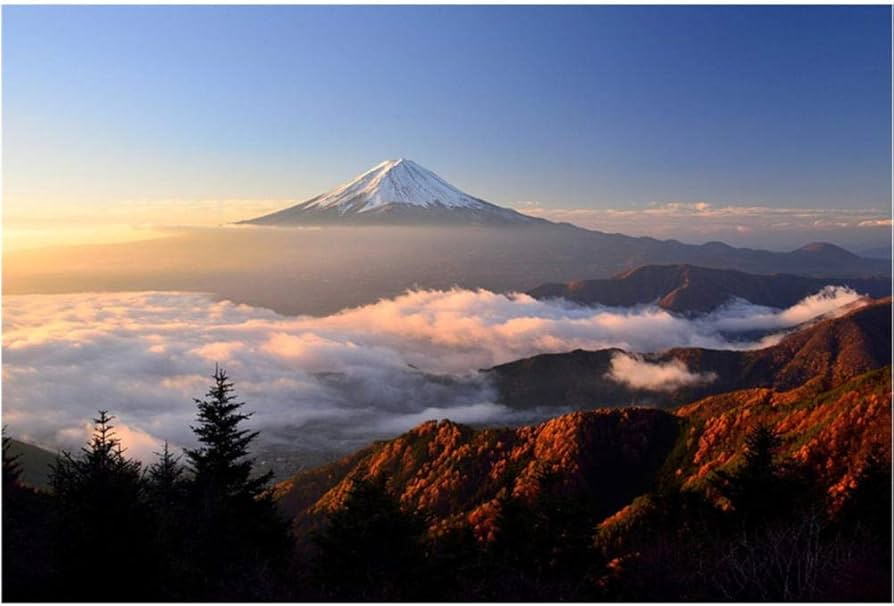 Amazon | ジグソーパズル2000ピース大人用子供用、ジグソーパズル