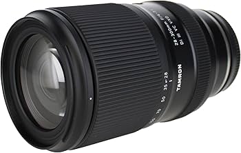 Amazon.com: Tamron 28-300mm f/4-7.1 Di III VC VXD Lightweight Lens