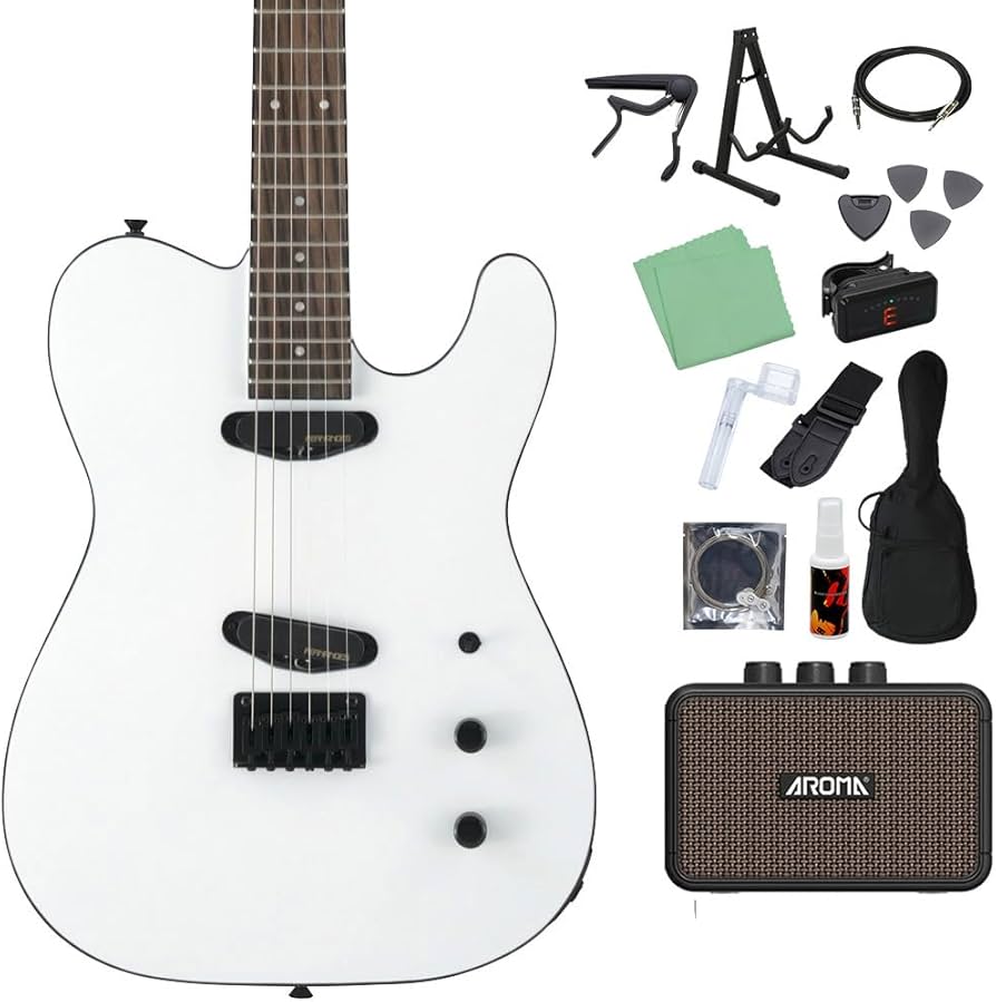 Amazon | FERNANDES TEJ-STD 2S SW エレキギター初心者14点セット