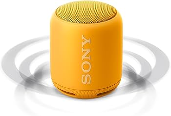 Amazon.co.jp: ソニー ワイヤレスポータブルスピーカー 重低音モデル