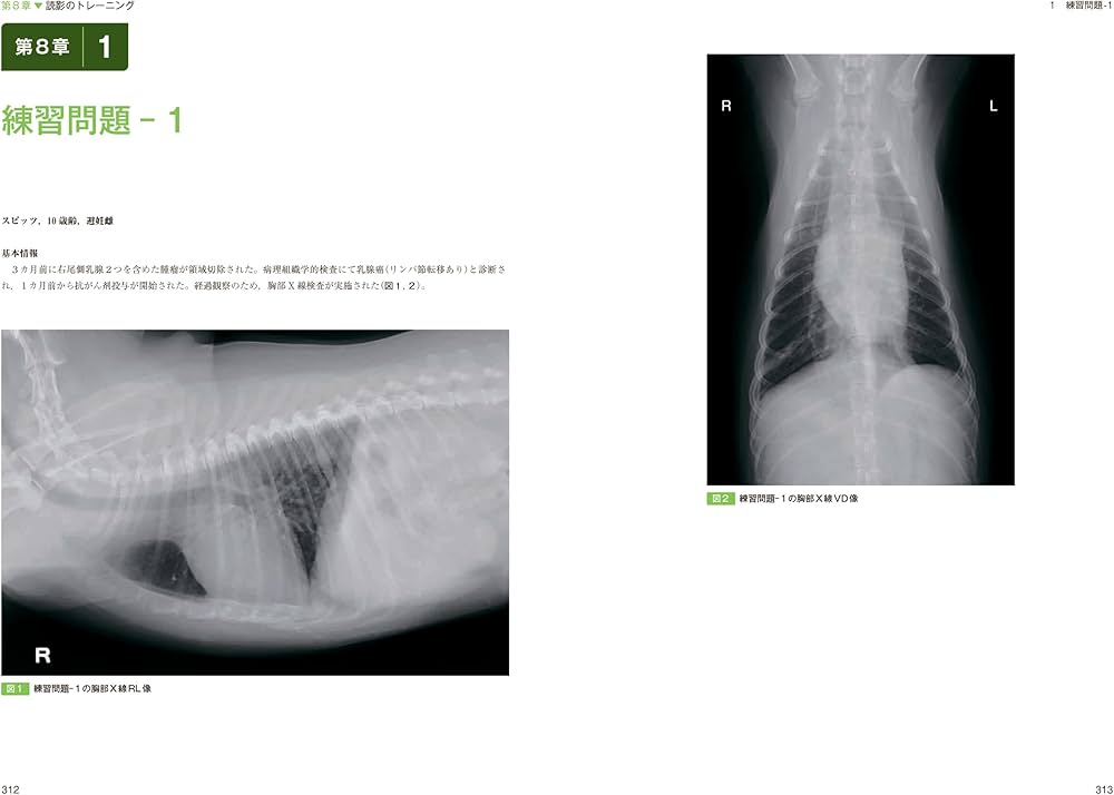 思考プロセスを習得する犬と猫のX線読影 | 坂大 智洋, 上月 遥香, 中山