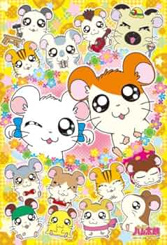 618FNvJeJML._AC_UF350,