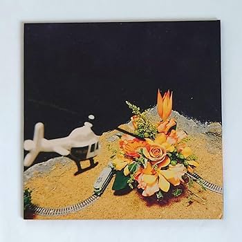 Amazon.co.jp: 緑黄色社会 インディーズ CD ノンカテゴリ 直筆サイン