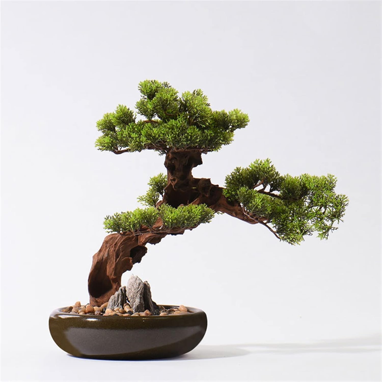 YUUTAさん専用 赤松 文人盆栽 高さ95センチです YUUTAさん専用 赤松