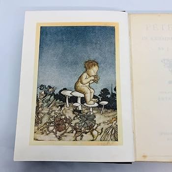 Amazon.co.jp: 現品限り アーサー・ラッカムの挿絵 代表作 『 ピーター