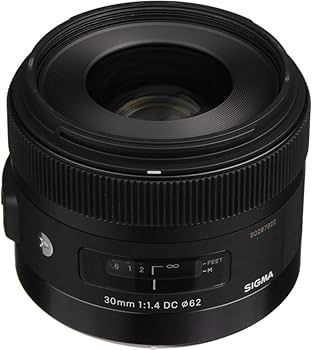Amazon.com : Sigma 30mm F1.4 Art DC HSM Lens for Pentax : Electronics