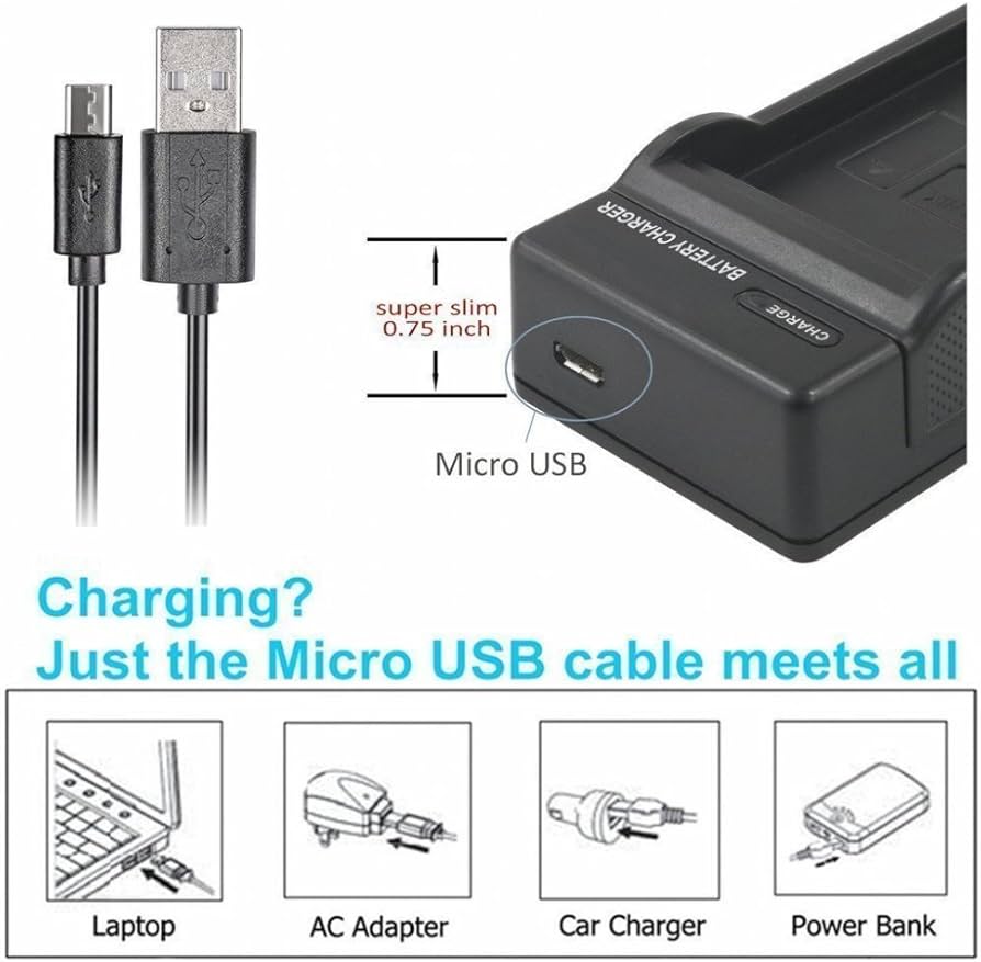 Amazon.com : Micro USB Battery Charger for Panasonic Lumix DMC