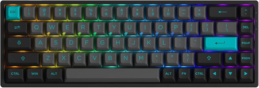 Amazon.com: Akko 3068B Plus Black & Cyan 65% 68-Key RGB Hot