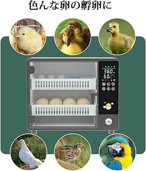 Amazon.co.jp: Moongiantgo 全自動孵卵器 ふ卵器 専用ボトル付き
