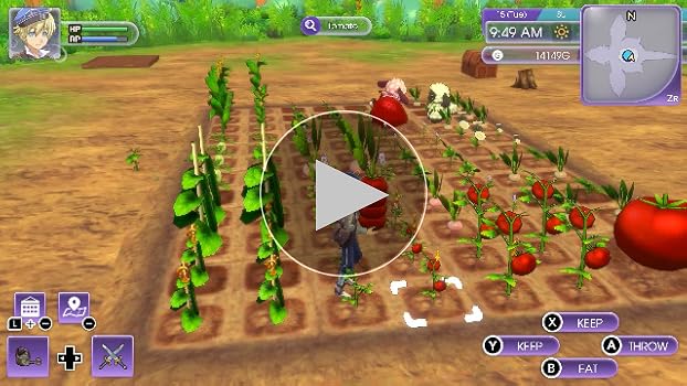 Amazon.com: XSEED Games Rune Factory 5 - Nintendo Switch