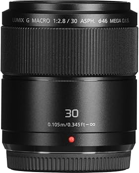 Amazon.com : Panasonic LUMIX G MACRO LENS, 30MM, F2.8 ASPH