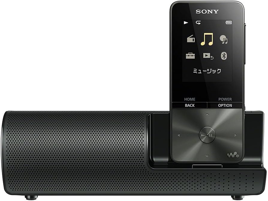 Amazon.co.jp: ソニー ウォークマン Sシリーズ 4GB NW-S313K : MP3