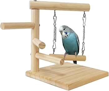 61-wr51h8vL._AC_UF350,