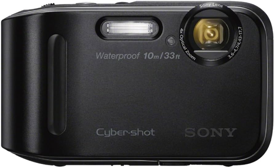Amazon.com : Sony DSC-TF1/B 16 MP Waterproof Digital Camera with