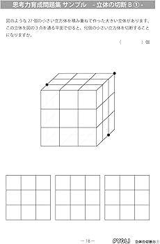 思考力育成問題集39立体の切断B① (ピグマリオン|PYGLIシリーズ|中学校