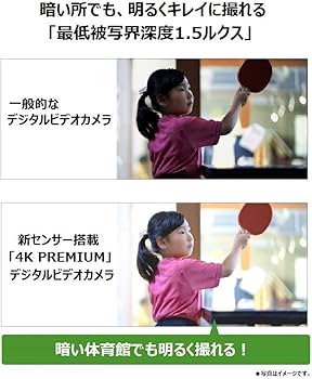 Amazon.co.jp: パナソニック 4K ビデオカメラ VX2M 64GB 光学24倍