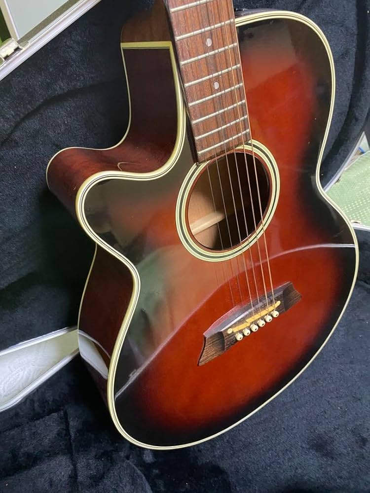 Amazon.co.jp: 長渕剛愛用 Takamine エレアコPT106 純正ハードケース付