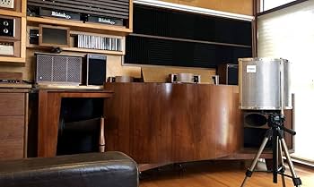 Amazon.co.jp: パラゴンを1/8で再現「iGON12xxpr」 : 家電＆カメラ