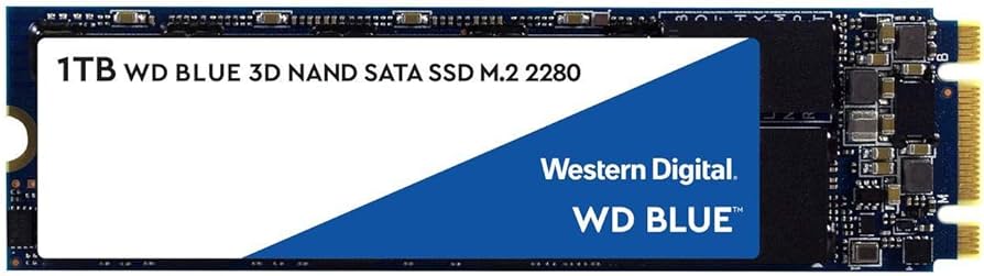 Amazon.com: Western Digital 2TB WD Blue 3D NAND Internal PC SSD