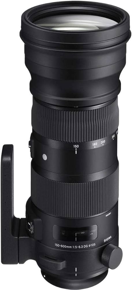 Amazon.com : Sigma 150-600mm 5-6.3 Sports DG OS HSM Lens for Canon