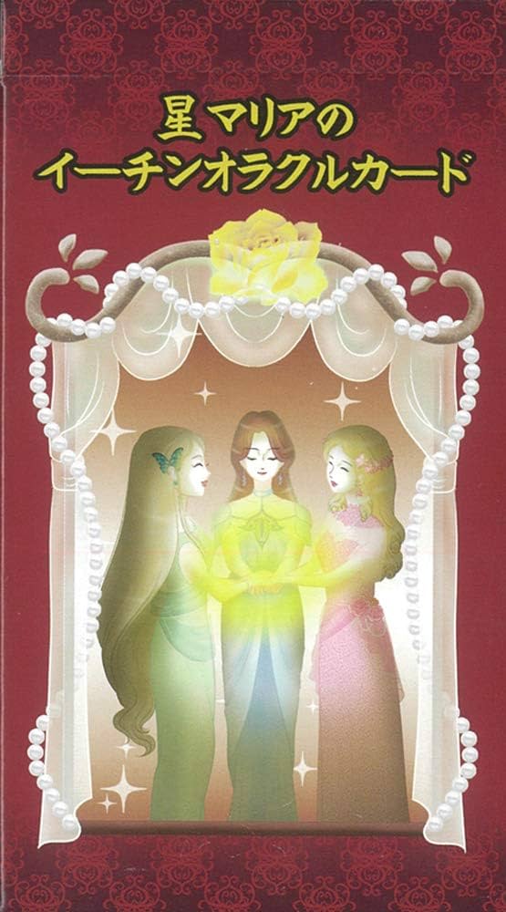 Amazon.co.jp: 株式会社ヴィジョナリー・カンパニー 星マリアの