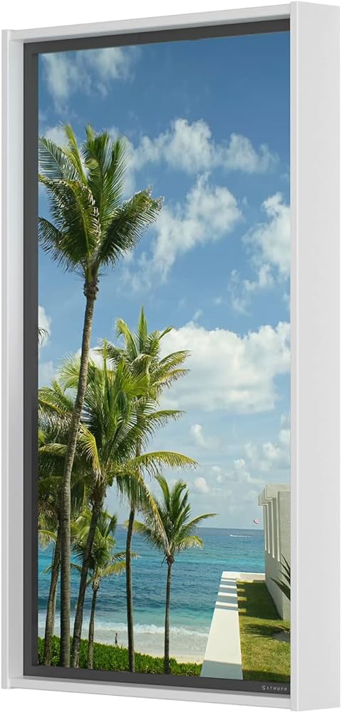 Amazon.co.jp: Atmoph Window 2 [Basic] (ホワイト) : 家電＆カメラ