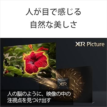 Amazon.co.jp: ソニー 65V型 4K 液晶 テレビ ブラビア XRJ-65X90J