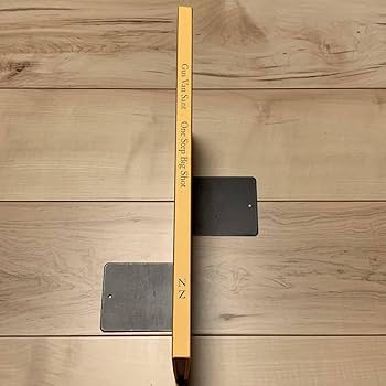 Amazon.co.jp: 絶版希少 Gus Van Sant One Step Big Shot ガス