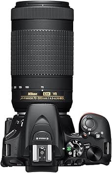 Amazon.com : Nikon D5600 24.2 MP DX-Format DSLR Camera with AF-P