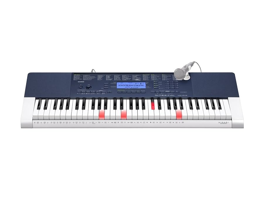 CASIO LK-222 光ナビゲーション キーボード 61鍵 LK-222 | 光