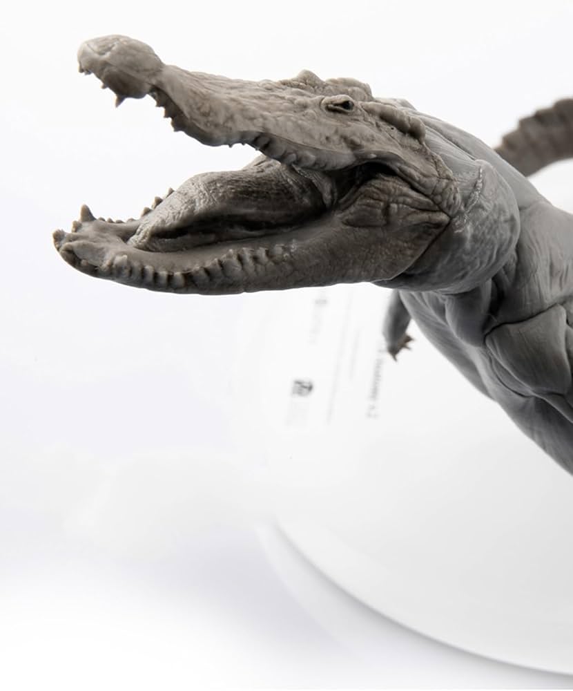 Amazon.co.jp: BACALYSO | EVO 1/8 サイズ ワニ 鰐 フィギュア 25cm級