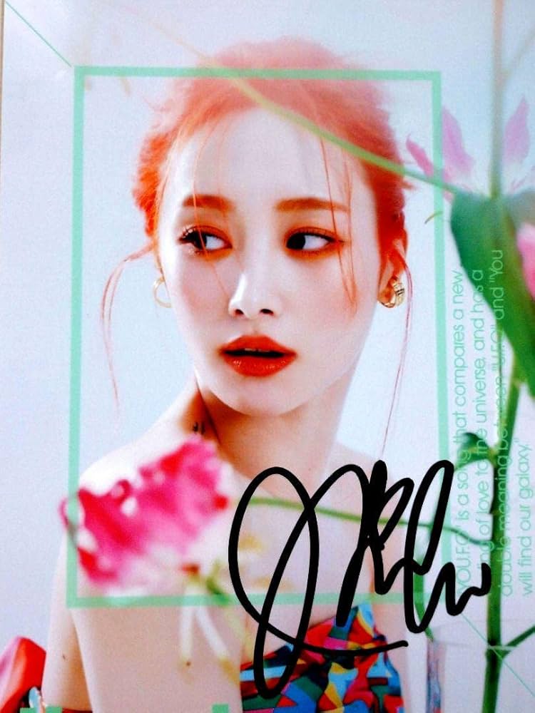 Amazon.co.jp: チョン ニコル 2L サイズ 写真 Nicole Jung KARA グッズ