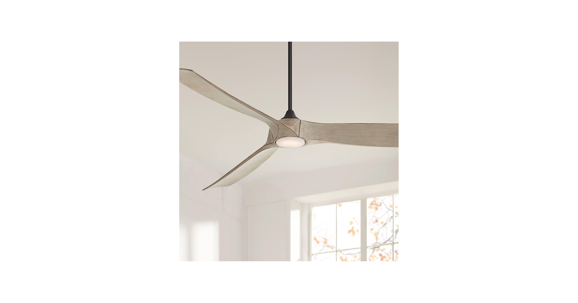 61uR-r7JHJL.jpg_BO30,255,255,