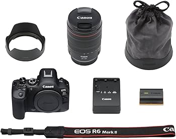 Amazon.com : Canon EOS R6 Mark II Camera with RF24-105mm F4 L is