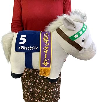 61v-AiijUUL._AC_UF350,