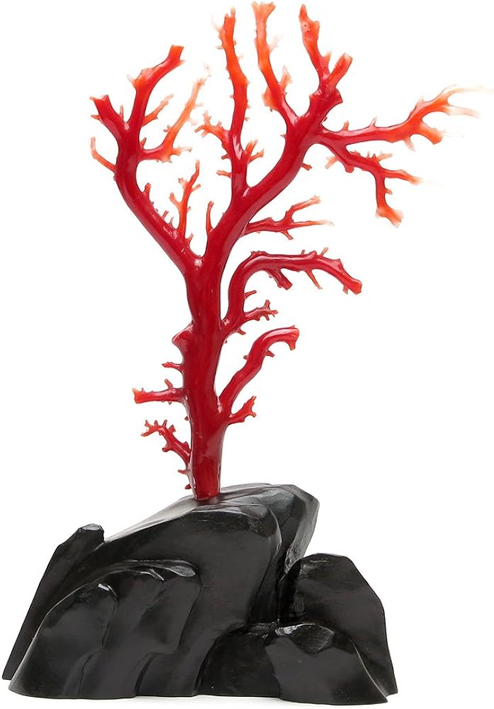 Amazon | 日本産 血赤珊瑚 拝見【アートコーラル】 | ブローチ 通販