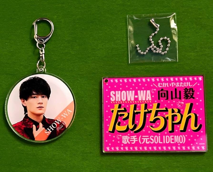 Amazon.co.jp: SHOW-WA向山 毅 たけちゃん ネームキーホルダー