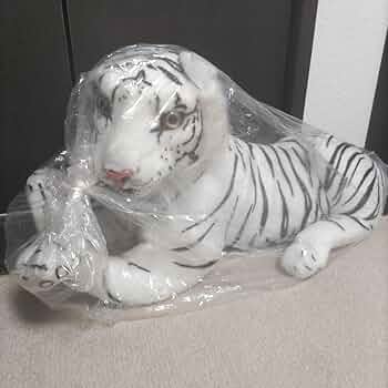 61w50xSJ+VL._AC_UF350,