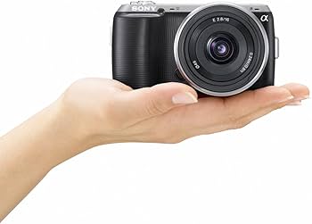 Amazon.co.jp: SONY ミラーレス一眼α NEX-C3 ズームレンズキット