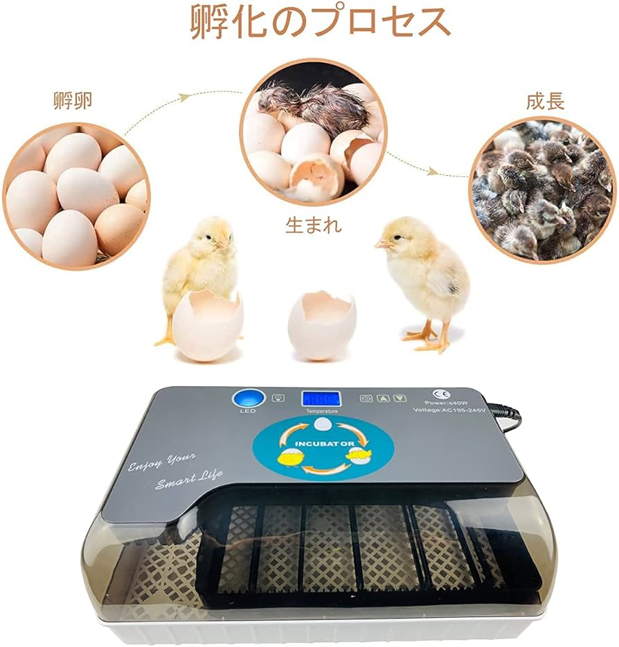 Amazon.co.jp: 自動孵卵器 孵化器 インキュベーター 12個入卵 検卵