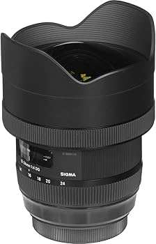 Amazon.com : Sigma 12-24mm f/4 DG HSM Art Lens for Nikon F (205955