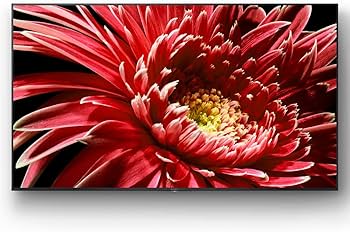 Amazon | ソニー 55V型 液晶 テレビ ブラビア 4Kチューナー内蔵