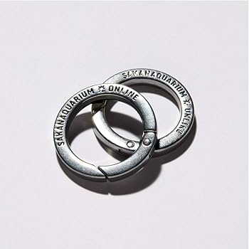 Amazon.co.jp: SAKANAQUARIUM 光 ONLINE [DVD完全生産限定盤