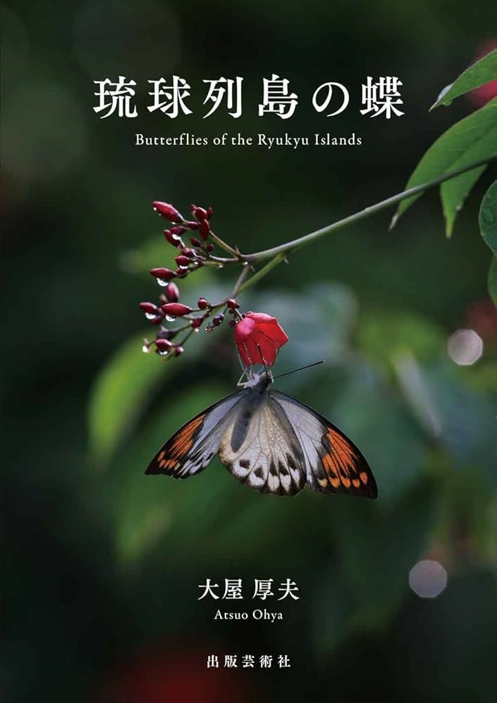 琉球列島の蝶 | 大屋 厚夫 |本 | 通販 | Amazon